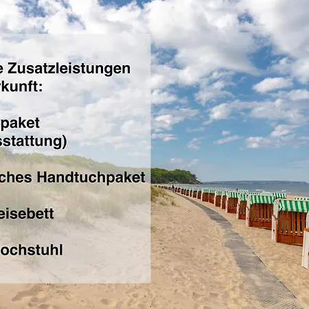 Strandkrabbe Baabe